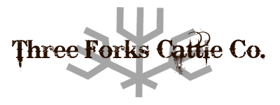 Three Forks Cattle Company