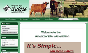 American Salers Association